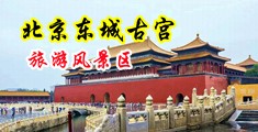 舔欧美老女人骚逼丝袜操逼视频中国北京-东城古宫旅游风景区